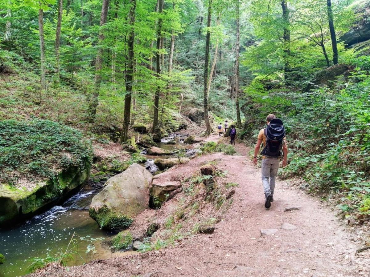 Nice Tent Lodge On A Campsite, Adjacent To The Forest, 27 Km From Luxembourg Medernach Bagian luar foto